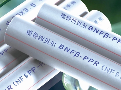 BNFβ-PPR管