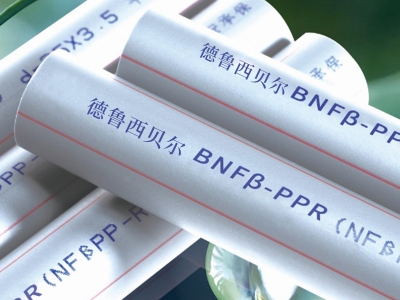 BNFβ-PPR管